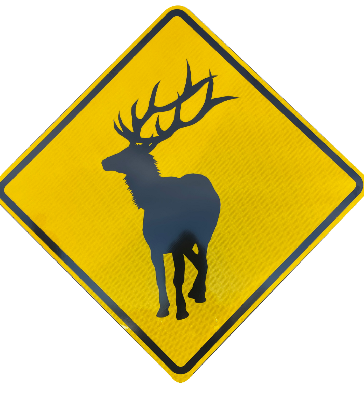 elk crossing sign