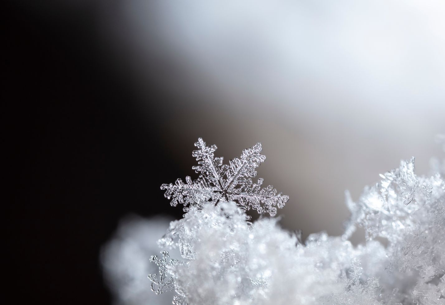 Closeup photo of ice and snow