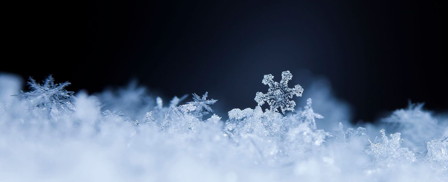 Snow flakes