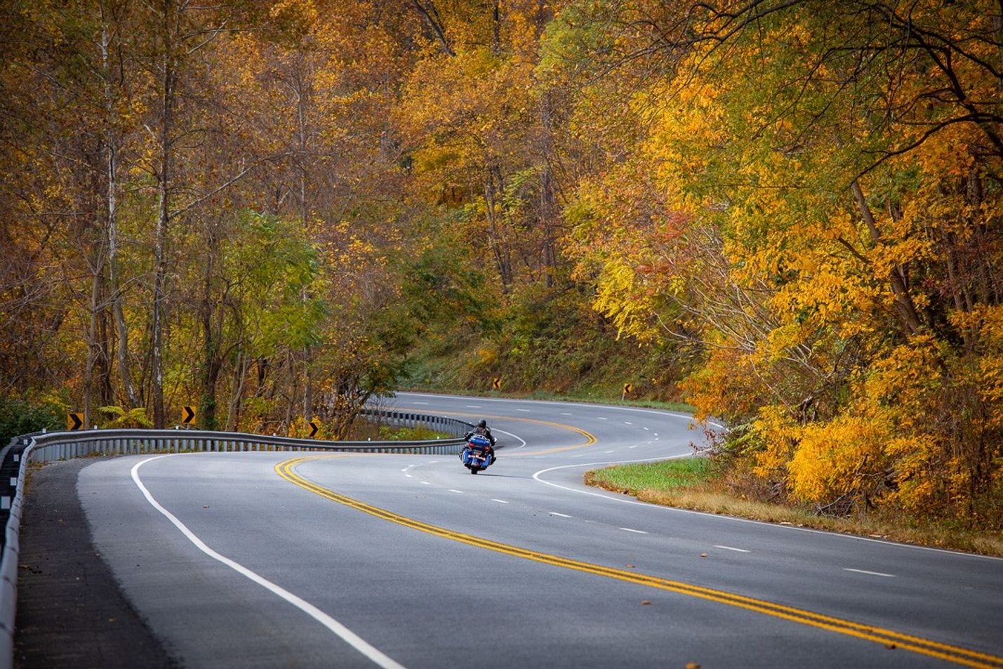 Motorcycle drivers along a road surrounded by fall foliage