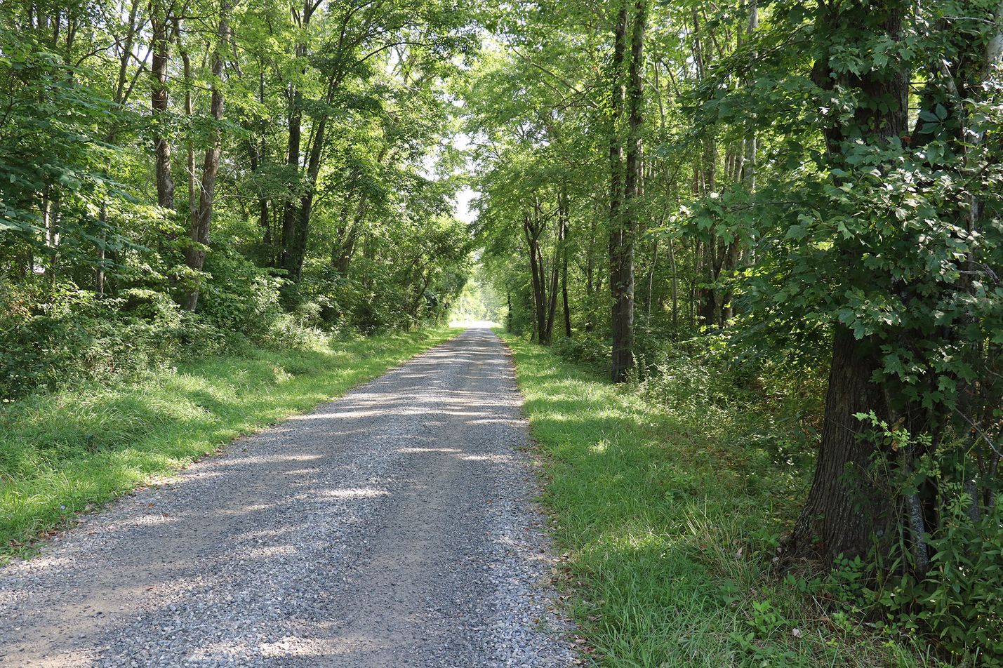 Former Craig Valley Branch railbed
