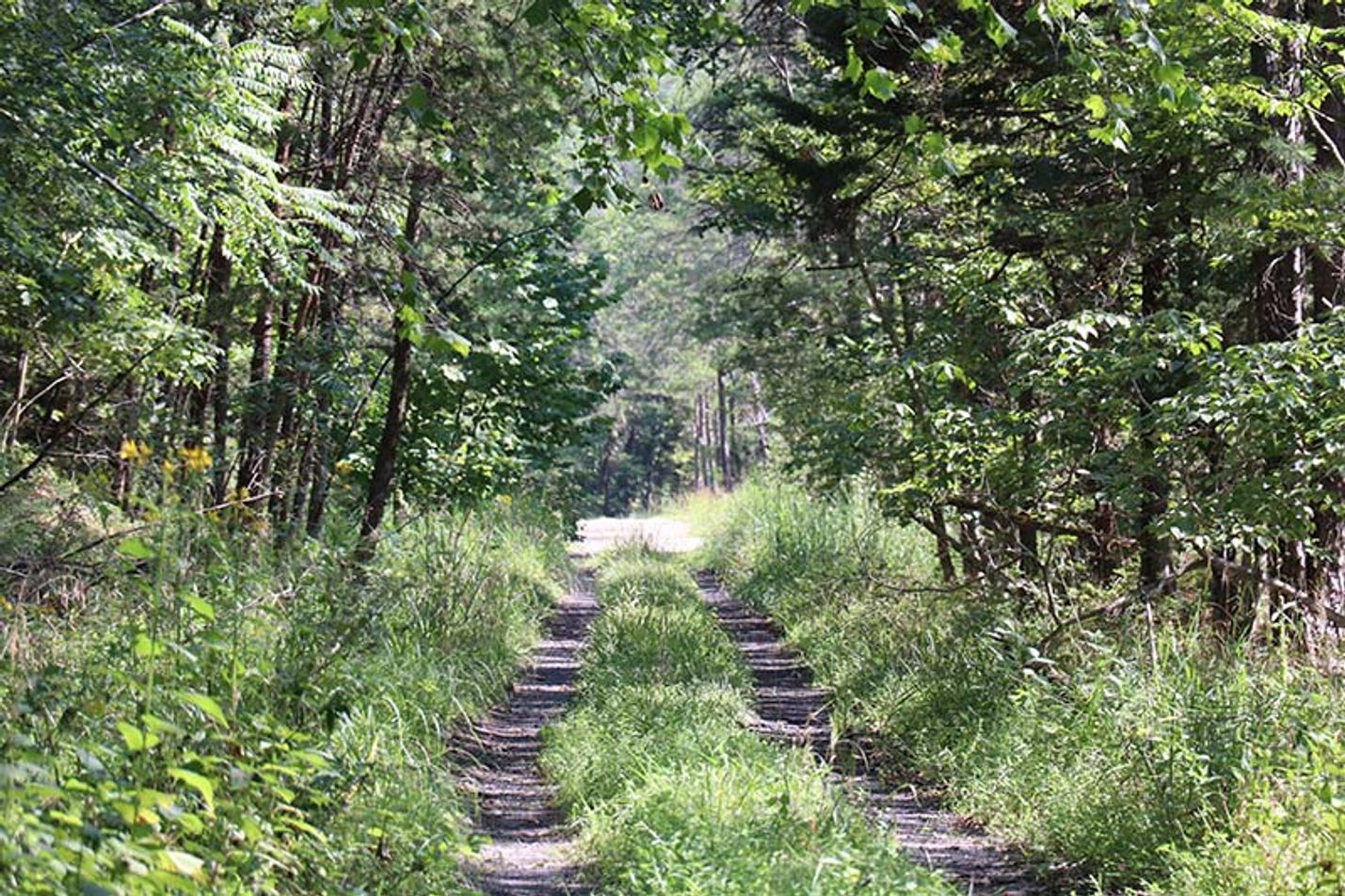 Craig Botetourt Scenic Trail railbed image