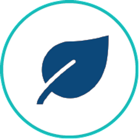 outlined icon of a blue leaf