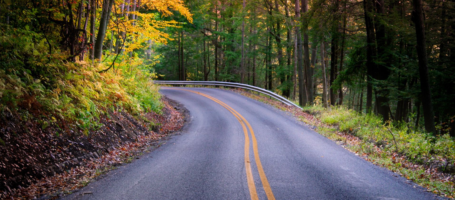 Image of roadway in fall