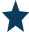 Star Icon.